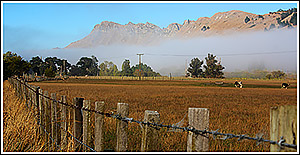 Fantastic rural views towards Te Mata Peak with Hawkes Bay Scenic Tours